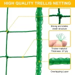 Green Nylon Garden Trellis Netting for Climbing Plants Heavy Duty Mesh Net for Cucumber Tomato Grapes Gardening Accessories 2