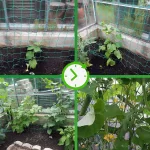 Green Nylon Garden Trellis Netting for Climbing Plants Heavy Duty Mesh Net for Cucumber Tomato Grapes Gardening Accessories 5